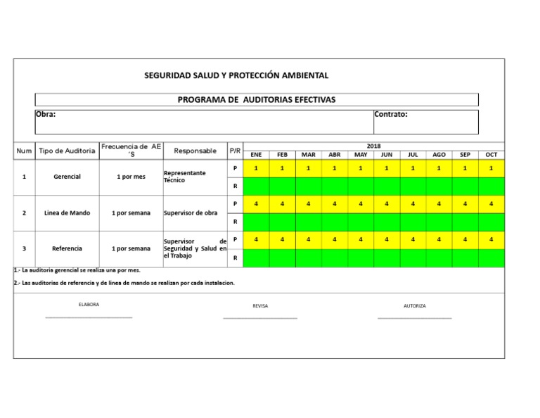 Programa de Auditorías Efectivas en Pemex | PDF