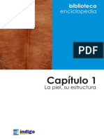 Capitulo 01 Estructura de La Piel PDF