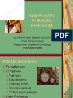 Komplikasi Robekan Perineum 17mei08 PLBNG