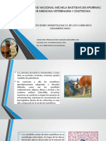 ADAPTACIONES HEMATOLOGICAS DE LOS CAMELIDOS SUDAMERICANOS.pptx
