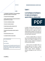 Capitulo 1 PDF