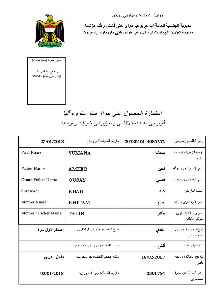 Iraq E-Service Visa Application Guide | PDF | Social Science