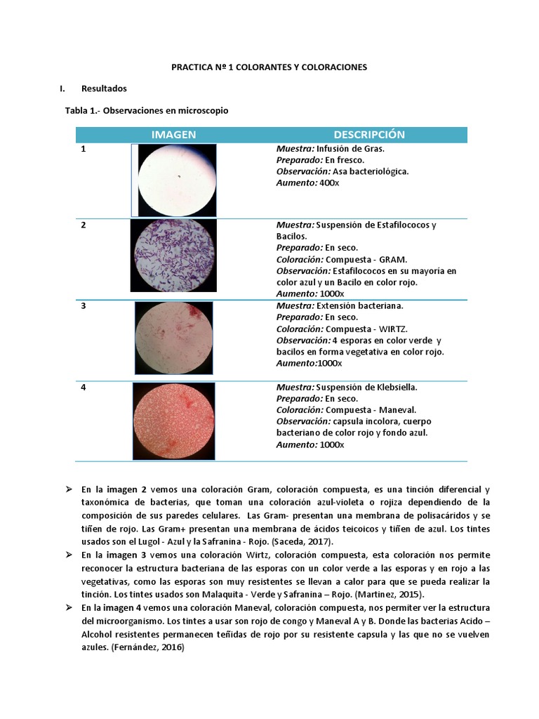 Colorante y Coloraciones | PDF | Tinción | Las bacterias