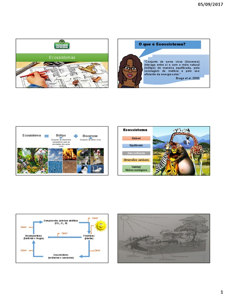 Ecossistemas Terrestres e Sustentabilidade | PDF | Ecossistema ...