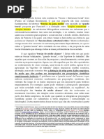 Analise_da_Teoria_da_Estrutura_Social_e.pdf