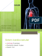 pengkajian Kardiovaskuler D3