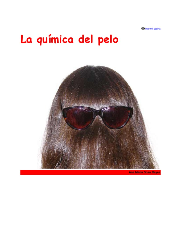 Composición química del cabello | PDF | Pelo | Champú