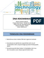 IV - Dna Rekombinan