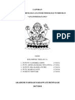 Cover Laporan Anatomi Batang PDF
