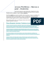 Sistema Nervoso Periférico - Esquema