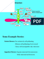 Basic Flower Structure