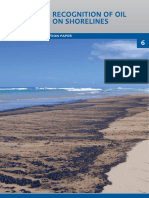 Recognition of Oil On Shorelines: Technical Information Paper