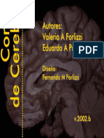 Cortes_de_Cerebro.(Forlizzi_2004).pdf