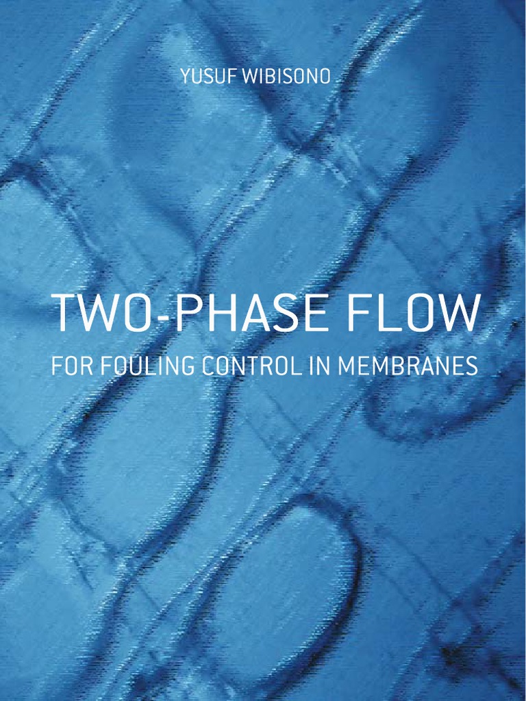 Two-Phase Flow For Fouling Control in Membranes | PDF | Membrane ...
