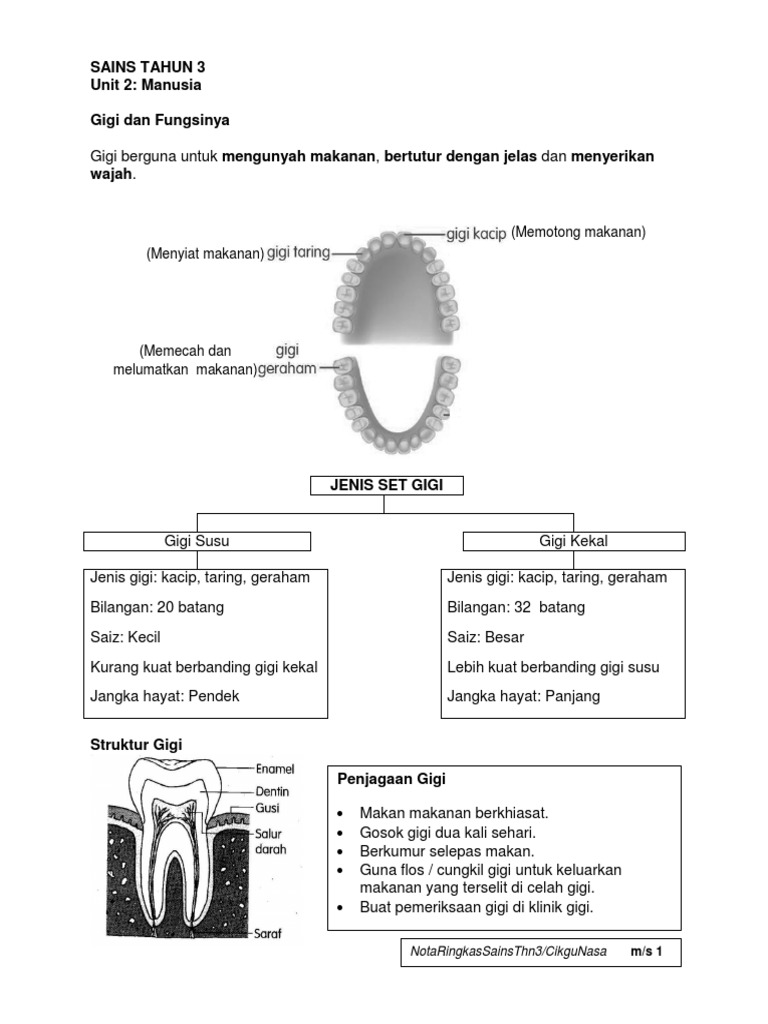 NOTA SAINS TAHUN 3.pdf
