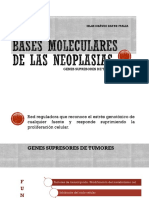Bases moleculares de las neoplasias.pptx