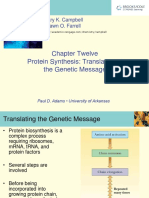 Campbell6e Lecture Ch12 Translation