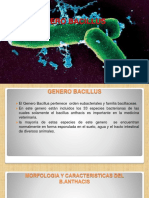 Genero Bacillus Antrax