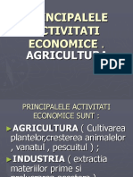 principalele_activit__258___354_i_economice