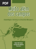 Livro - Arqueologia e historia na Amazônia Marajoara.pdf