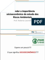 Importância Socio Economica Dos Riscos Ambientais (1)