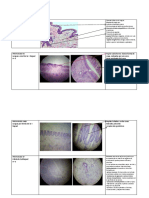 APARATO DIGESTIVO Hasta DESARROLLO PDF