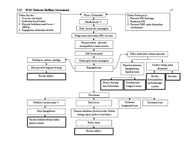 Pathway DM Gestasional pada Ibu Hamil | PDF