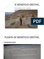 Planta Grethel Acari