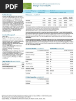 Strategic Bond Fund (59) : Fixed Income Investment Grade