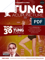 Top 30 Master Tung Points PDF
