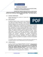 TERMINOS DE REFERENCIA DE ELABORACION DE EXPEDIENTE TECNICO PUNO.pdf