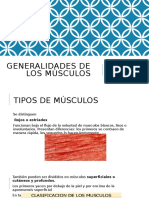 Generalidades de Los Musculos