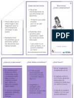 Triptico6 PDF