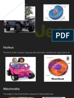 a cell is like a jeep