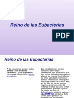 Reino de Las Eubacterias