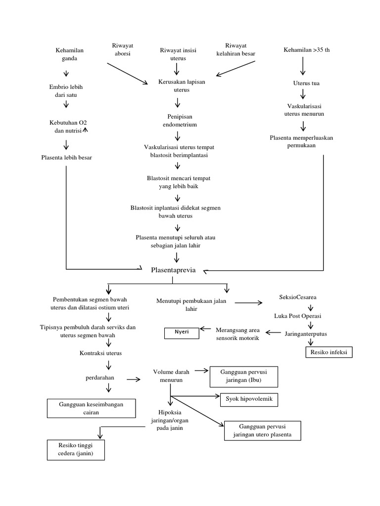 WOC Plasenta Previa PDF