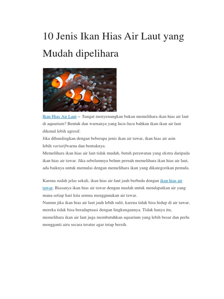 10 Jenis Ikan Hias Air Laut Yang Mudah Dipelihara
