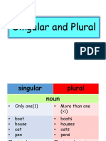 Singular Plural Nouns