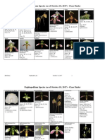 London Orchid Society Paphiopedilum Class List.