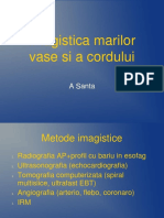 07 Imagistica Marilor Vase Si A Cordului