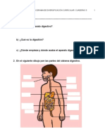 Q5 Digestivo Nutricion Cuestiones