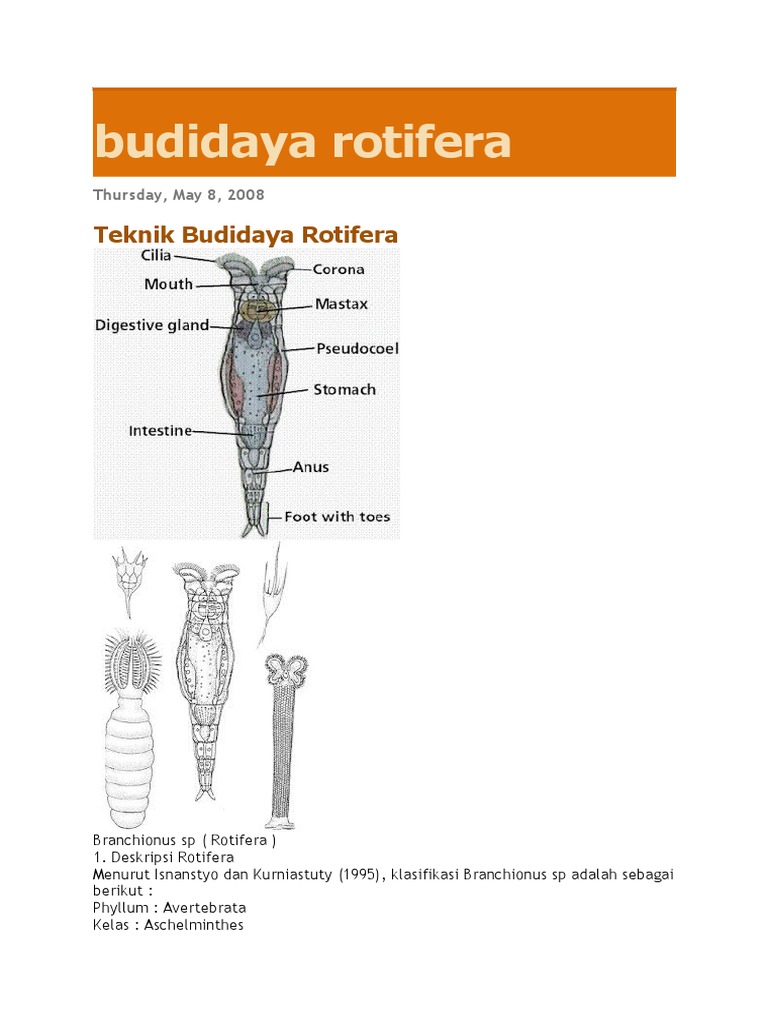 Budidaya Rotifera | PDF