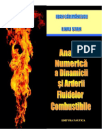 Curs - Gazodinamica, Analiza Numerica A Dinamicii Si Arderii Fludelor Combustibile
