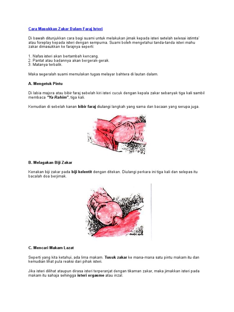 Cara Masukkan Zakar Ke Dalam Faraj Isteri Pdf