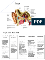 Anatomi Telinga & Gejala Stadium