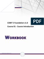 Cobit5F WB01