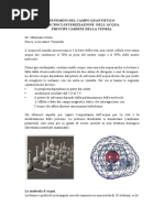 Teoria Quantistica Acqua