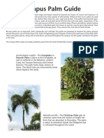Campus Palm Species Guide