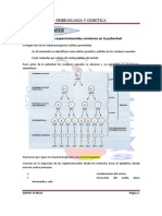 Embriología Humana