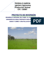 PROYECTO DE INVERSION FUNDO EL SOCORREÑO  02-08-2016.pdf